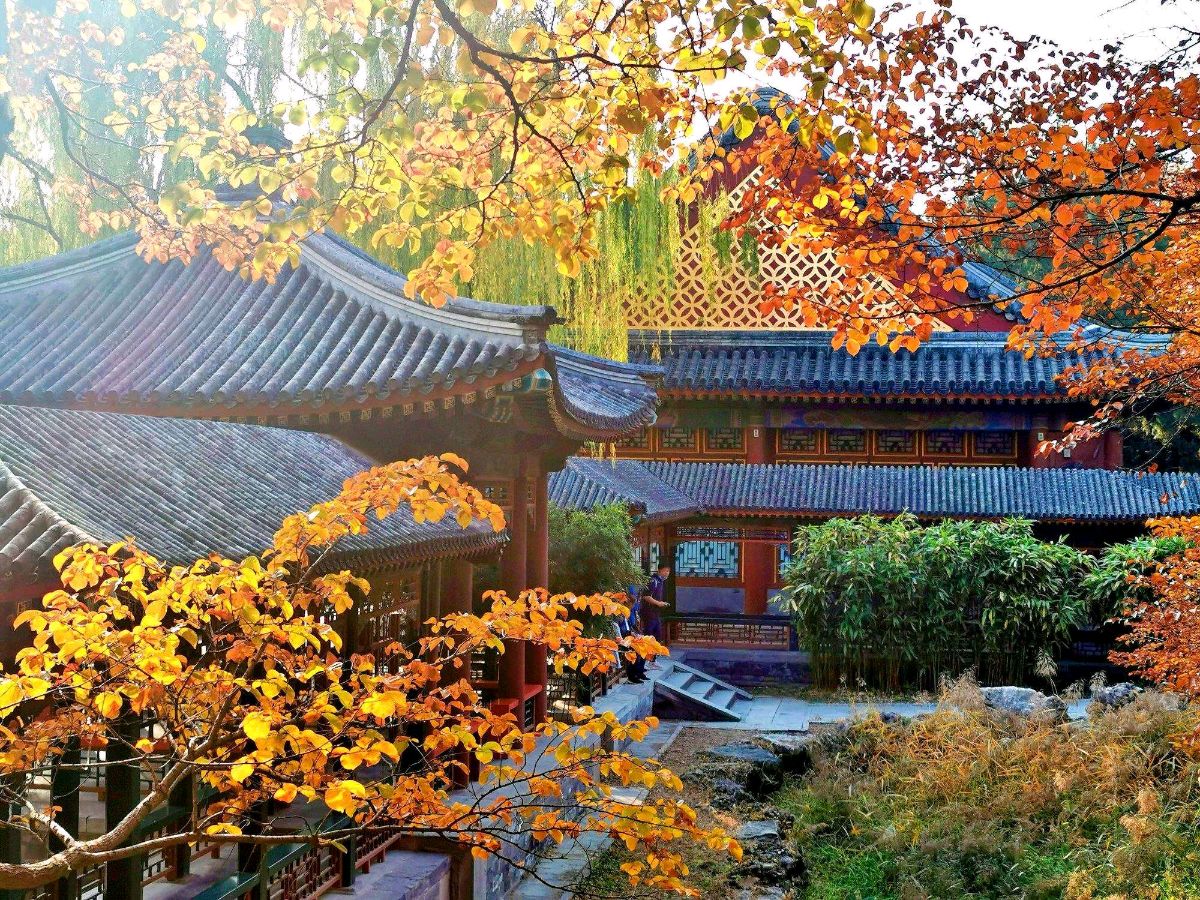 【明心文学】松阳河畔/诗词三首 主播/花之语（图3）