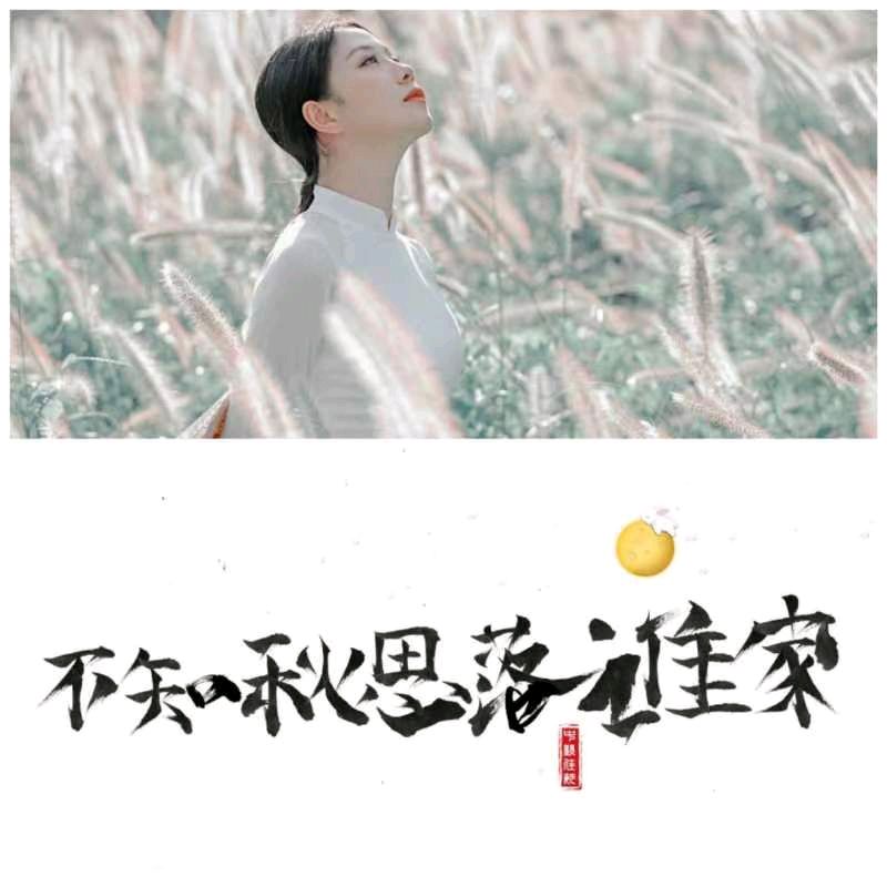 韩庚的《秋思七十首》