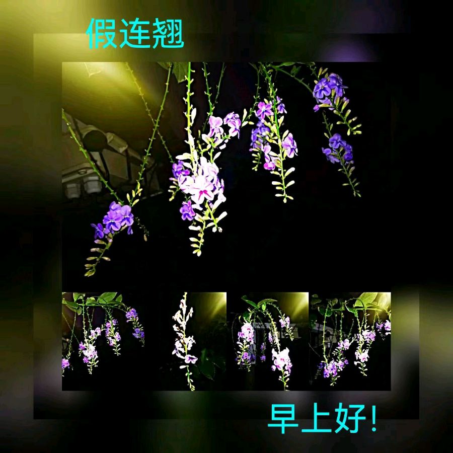 联机全球发布马洪武作品欣赏（图436）