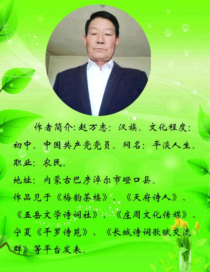 中华诗艺黑龙江分社微刊第236期（图11）