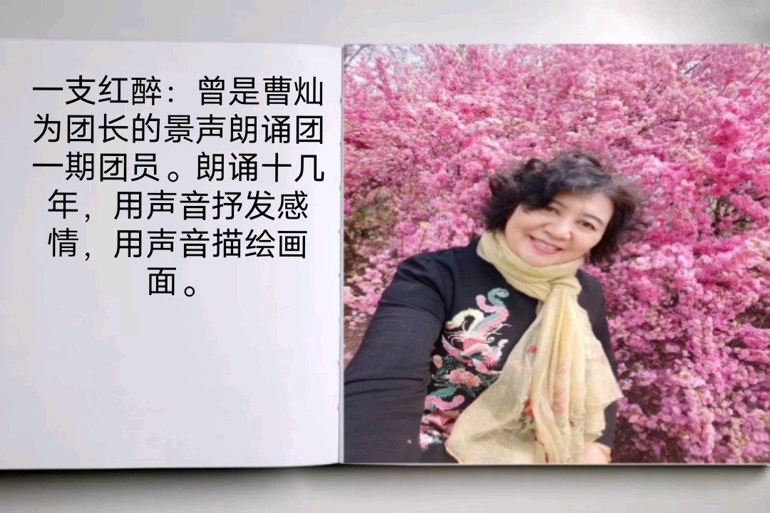 《致敬,中国人民志愿军(组诗)》作者/观海 朗诵/华人诗社朗诵团 主编/胡琴(图53)