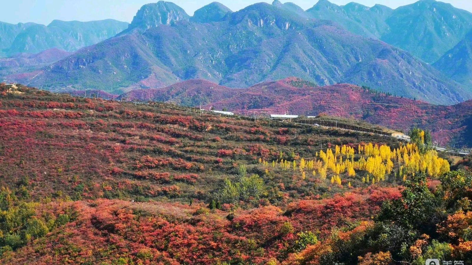 水云居士老师诗词专辑——【诗当代】征稿——都市头条(图8)