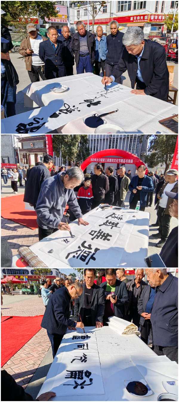 2023第三届重阳节暨双龙山文旅名人名家书画艺术展开幕（图9）