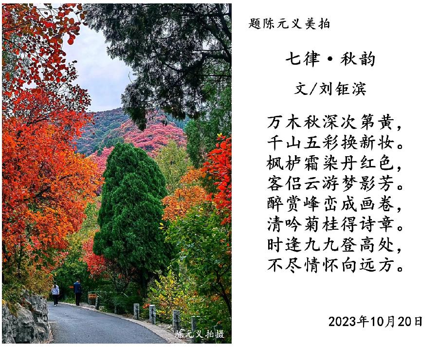 【北方诗韵】诗友合辑（第20期）（图37）