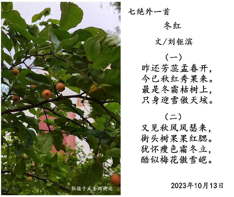 【北方诗韵】诗友合辑（第20期）（图30）