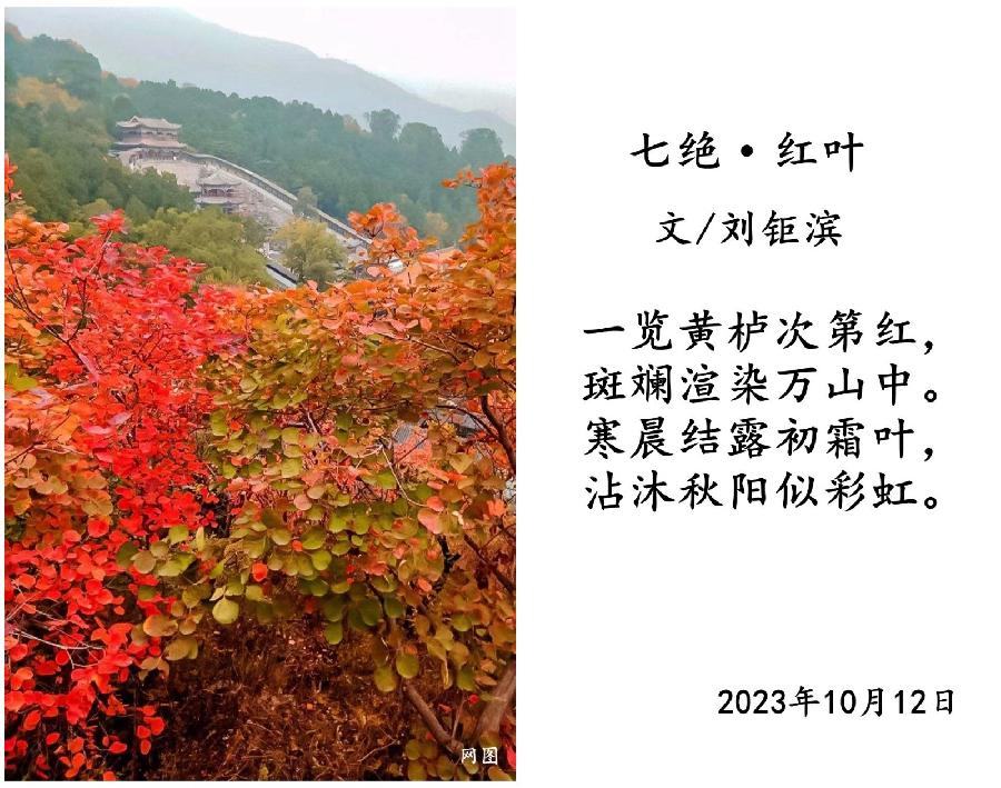 【北方诗韵】诗友合辑（第20期）（图29）