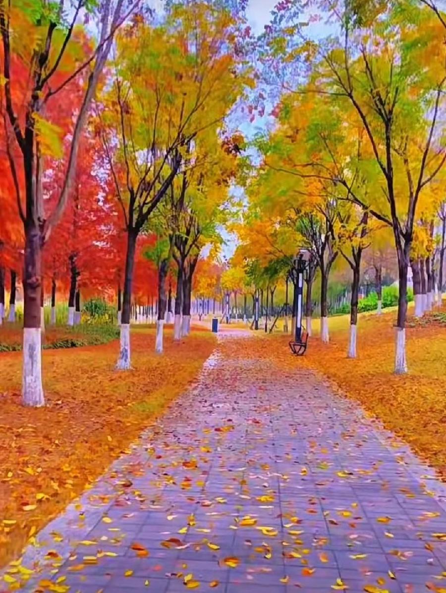 【北方诗韵】诗友合辑（第20期）（图9）