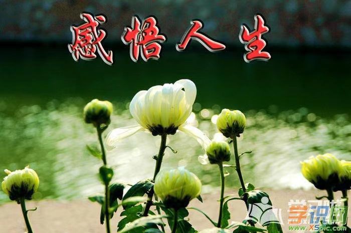【北方诗韵】诗友合辑（第20期）（图14）