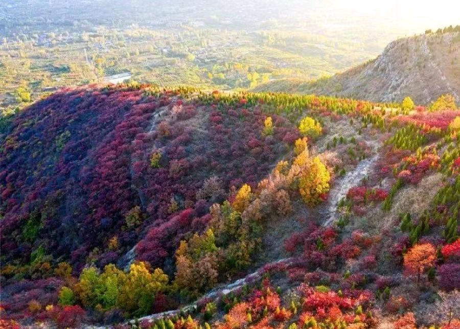 重阳登山 | 耿连兵