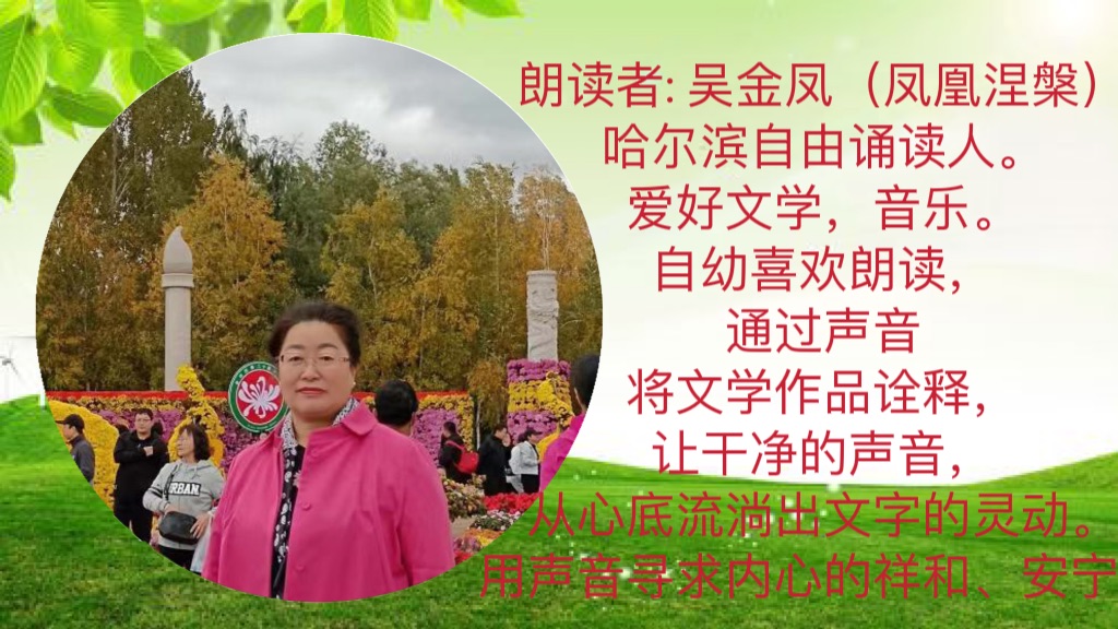 《寻找诗的灵感》作者：刘汉兴诵读：凤凰涅槃（图8）