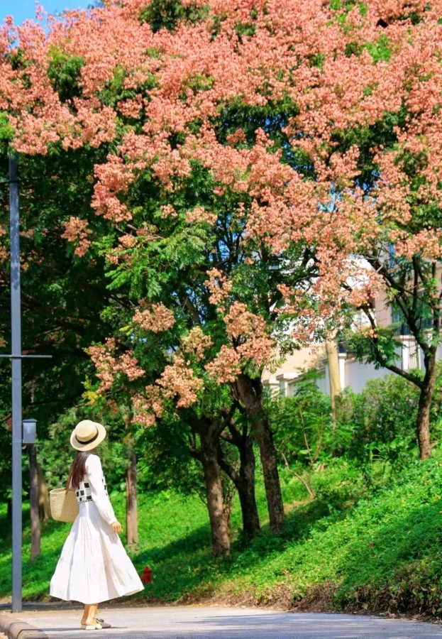 【自由体】《留住美好记忆》作者/郑金波（图3）