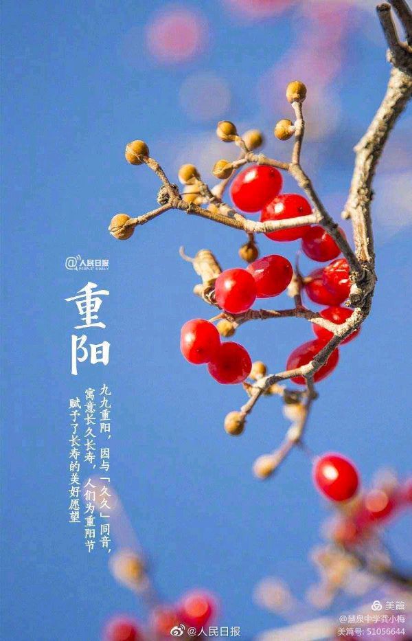 诗歌·迎冬奥重阳登高 作者/李文元（图4）