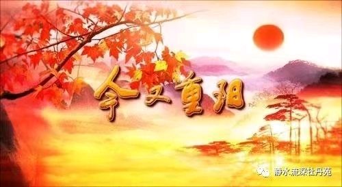 《九江文学社：北京头条》《九九重阳节》专刊【总第1886期】（图19）