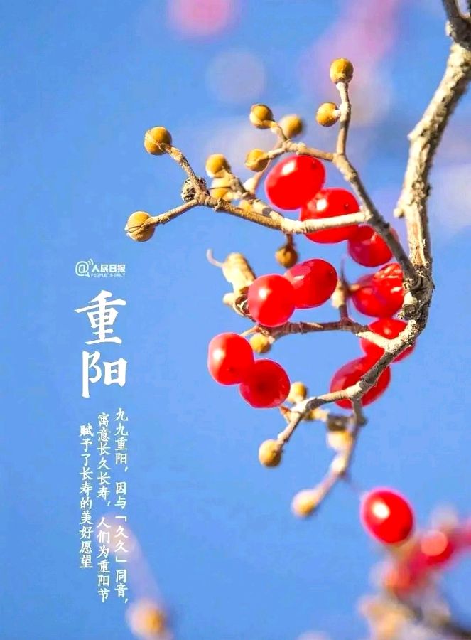 《九江文学社：北京头条》《九九重阳节》专刊【总第1886期】（图42）