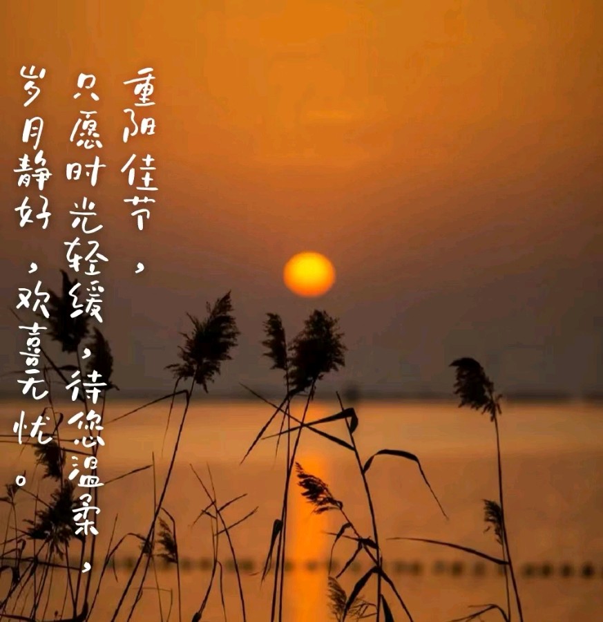 《九江文学社：北京头条》《九九重阳节》专刊【总第1886期】（图43）