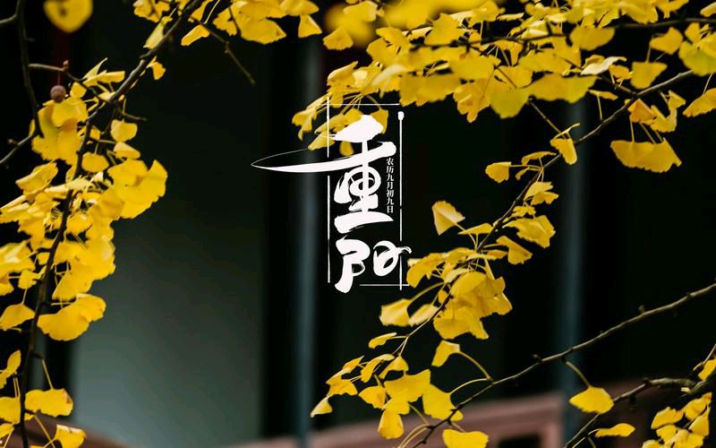 重阳（现代诗歌）文/文成武就〔广东〕【冰心文化传媒】（图3）