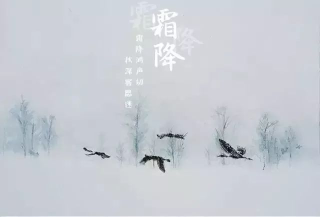 《霜降,秋里最后的风光》作者/吴鸿 主播/小薇 主编/胡琴(图8)