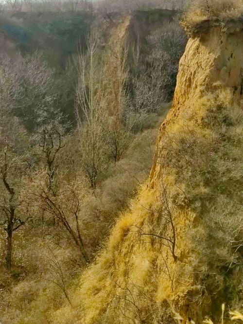 联机全球发布唐增虎作品欣赏（图9）