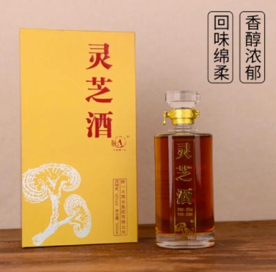 文化铸魂·推陈出新:醉一斗酒业集团有限公司第十二届储酒文化节暨第六届成无己养生论坛成功举办(图13)