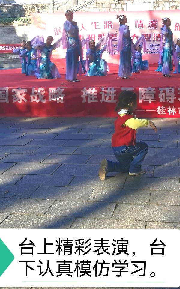 桂林市中华文化促进会隆重举办重阳敬老节大型活动唯美专辑欣赏∥中国桂林都市漓江诗书画社微刊总(第109期)(图58)