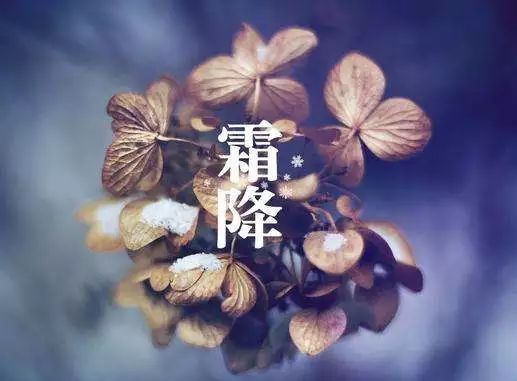 《霜降》作者/周峰 主播/紫金茉莉 主编/胡琴