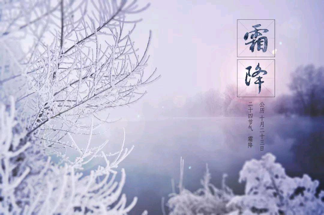 《霜降》作者/周峰 主播/紫金茉莉 主编/胡琴(图5)