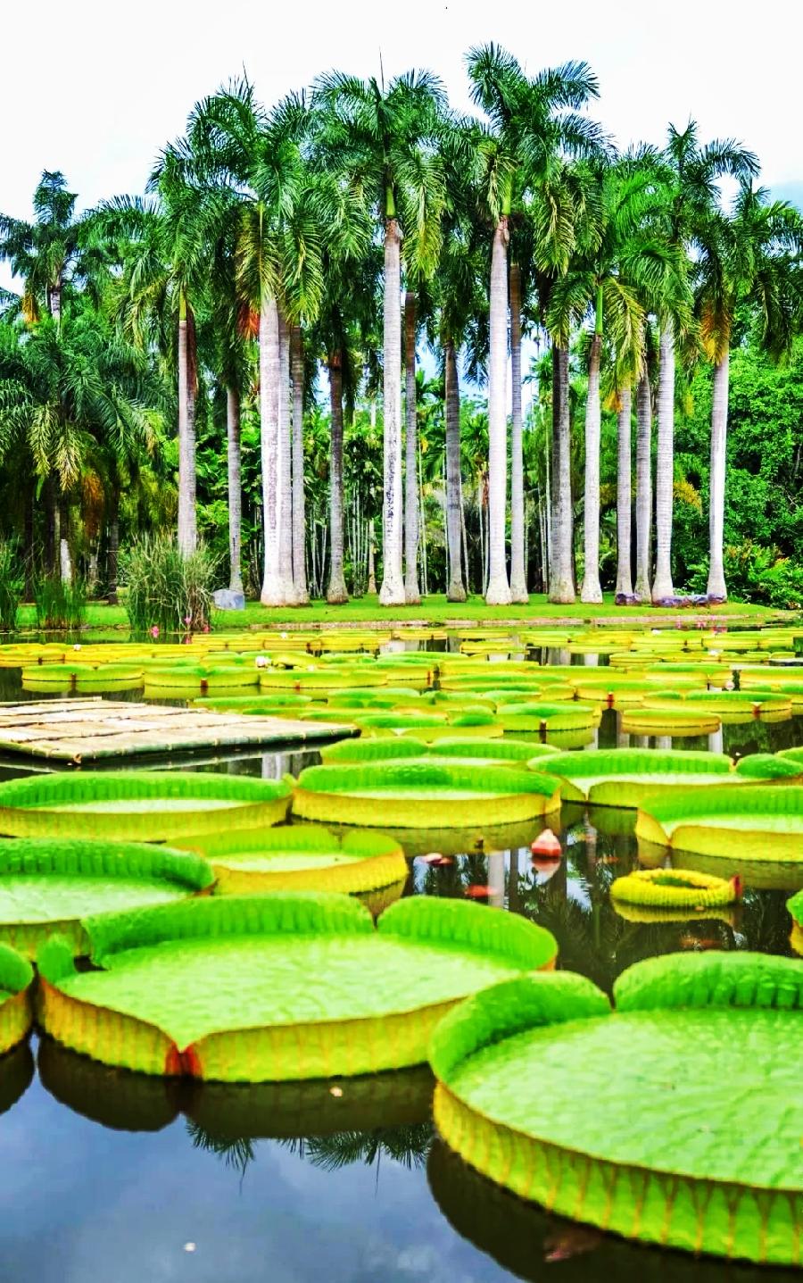中国科学院植物园旁的人文景观
