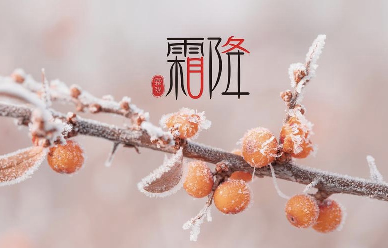【新诗大观】霜降||文/花惜柔