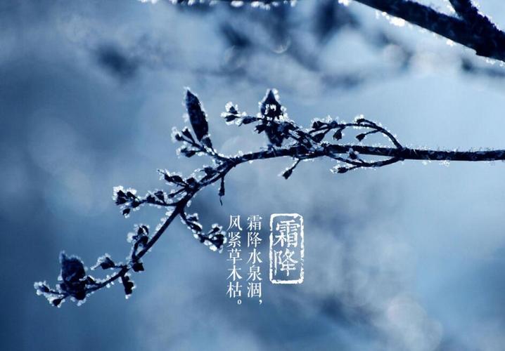 王香谷（悉尼）诗词小辑【冰心文化传媒】（图3）