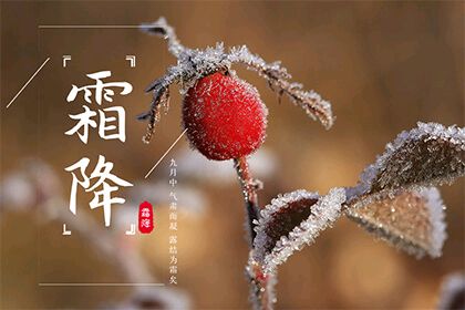 王香谷（悉尼）诗词小辑【冰心文化传媒】（图6）