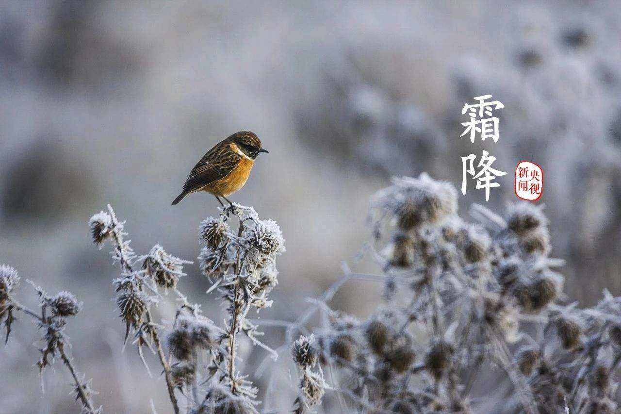 王香谷（悉尼）诗词小辑【冰心文化传媒】（图7）