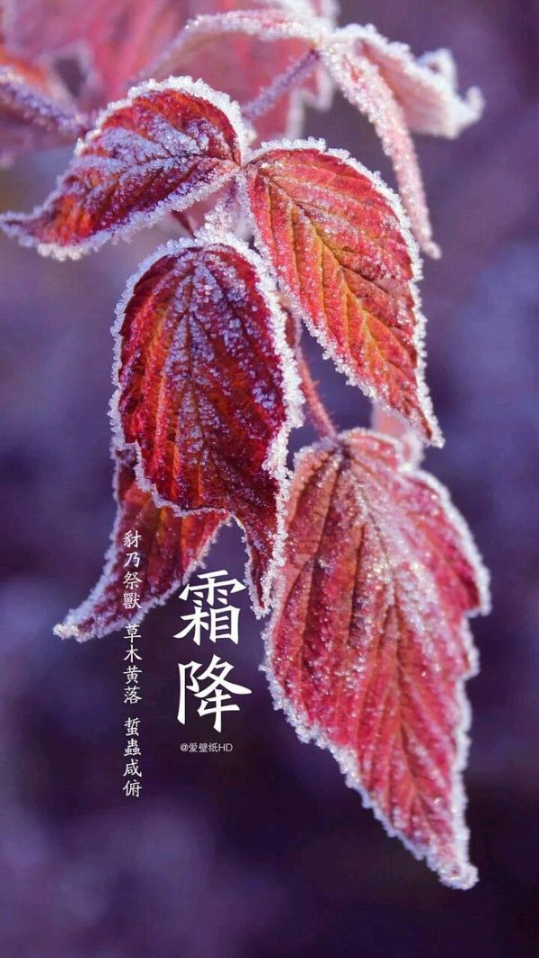 《九江文学社：北京头条》《霜降节气》专刊【总第1887期】（图24）