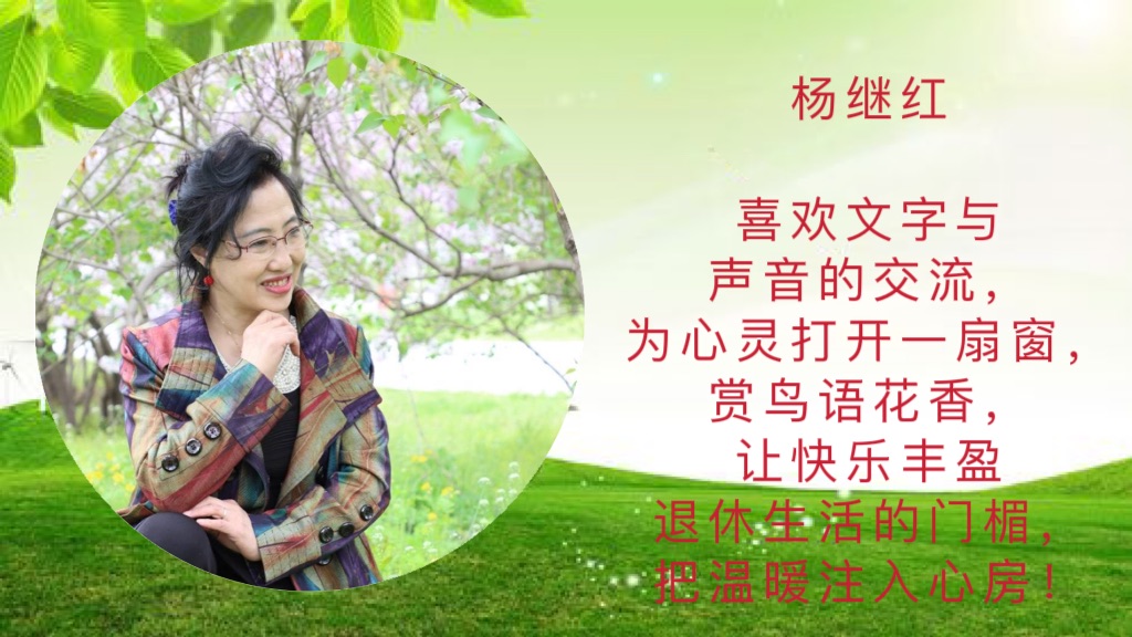 七言排律.重阳 文/钱美清【诵读】一杯红酒(图6)