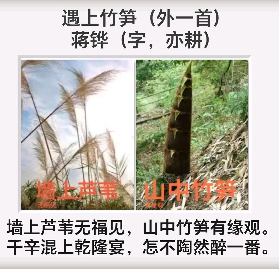 姚岚.唐江.莫天华.梁聚福.等诗人墨客唯美佳作欣赏∥中国桂林都市漓江诗书画社微刊总（第110期）（图8）