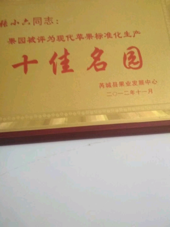 张小六的高效苹果园(图3)