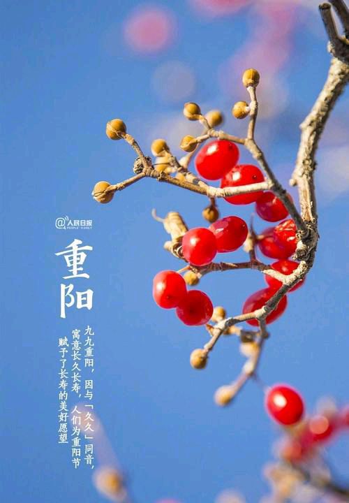 【新山东文学社】《今又重阳更思念故乡》作者/ 李延庄子 主播/海豚（图4）