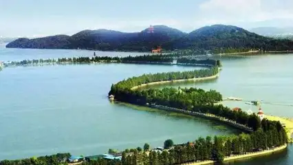 张景文作品选萃‖巴彦诗协诗词卷【594】（图4）