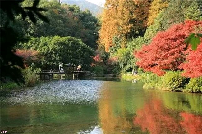 请欣赏四位金牌主播为您诵读牛银仙老师的《深秋落叶》编辑//海纳百川【中国长江文学社】有声文学平台【第6679期】（图8）