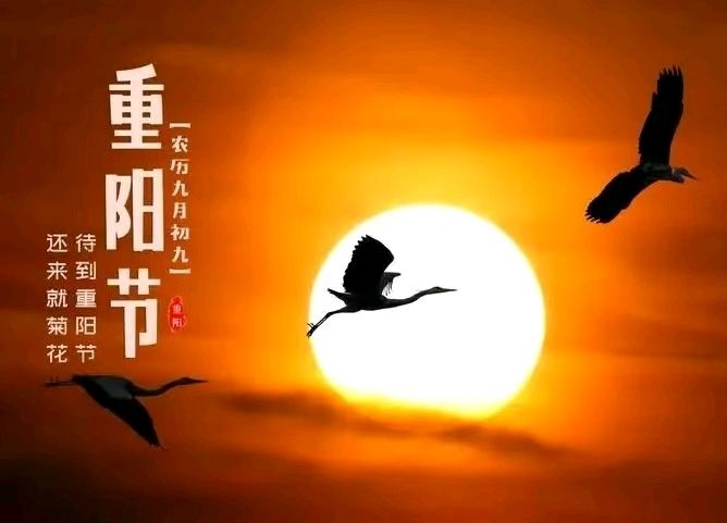 《九江文学社：北京头条》《名家专刊》优秀诗人书乐先生近期诗歌欣赏【总第1891期】（图4）