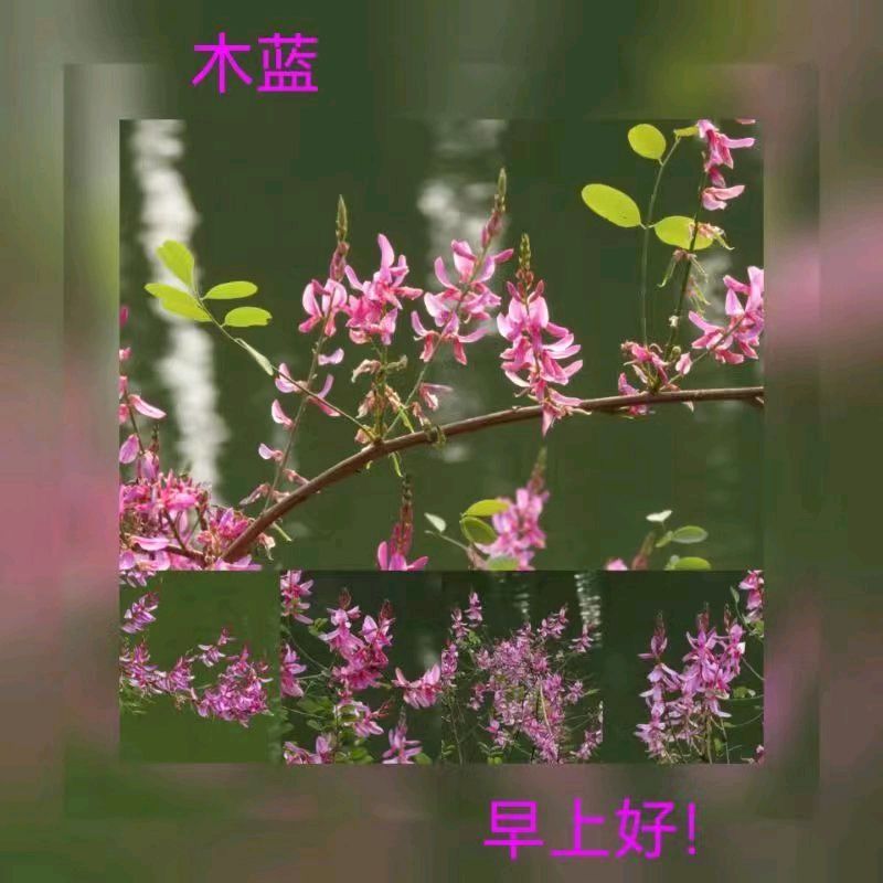 联机全球发布马洪武作品欣赏（图427）