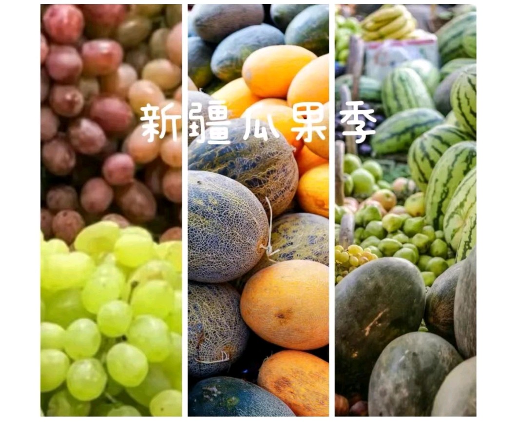 新疆秋美*作者：吉运（新疆伊犁）【冰心文化传媒】（图14）