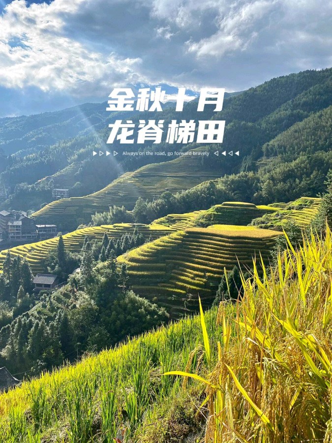 如梦令·青松 作者/刘宣（图5）
