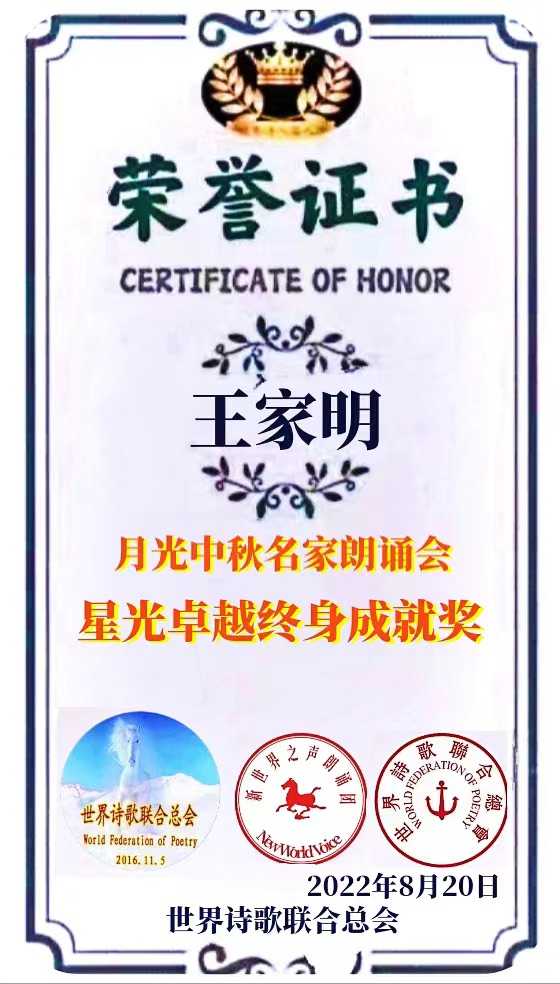 《热烈祝贺我国神舟十七载人飞船发射成功》文：诗坛小儿童/诵：家明【长城总社】世界诗人名人展（10638）（图21）