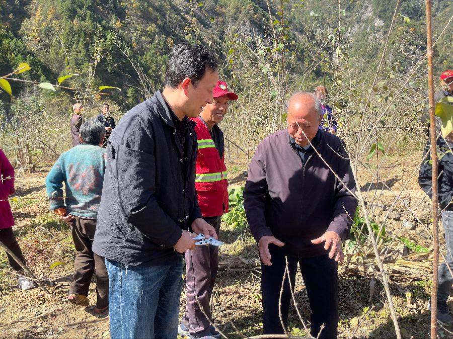 山阳县王阎镇:开设“田间课堂” ,为打造“秦岭连翘,药乡王阎”添力蓄能(图3)