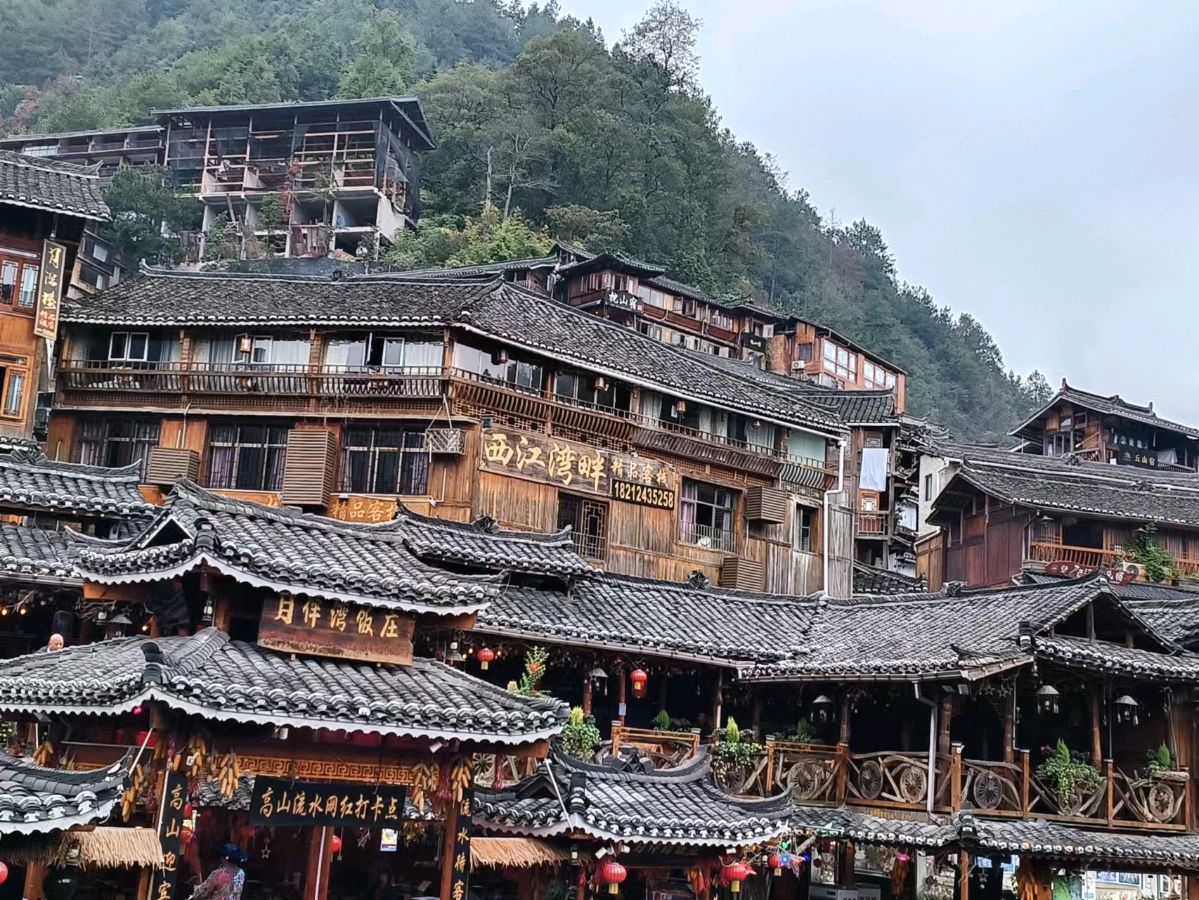 刘林丽诗歌作品221期《远足归来》主播：时振凤（海石）（图3）
