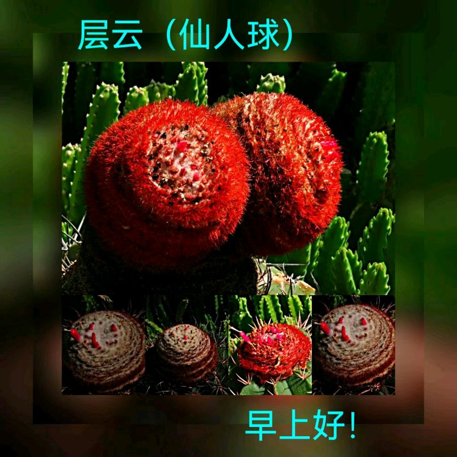 联机全球发布马洪武作品欣赏（图425）