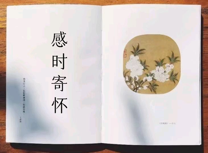 韩庚的《感时寄怀》