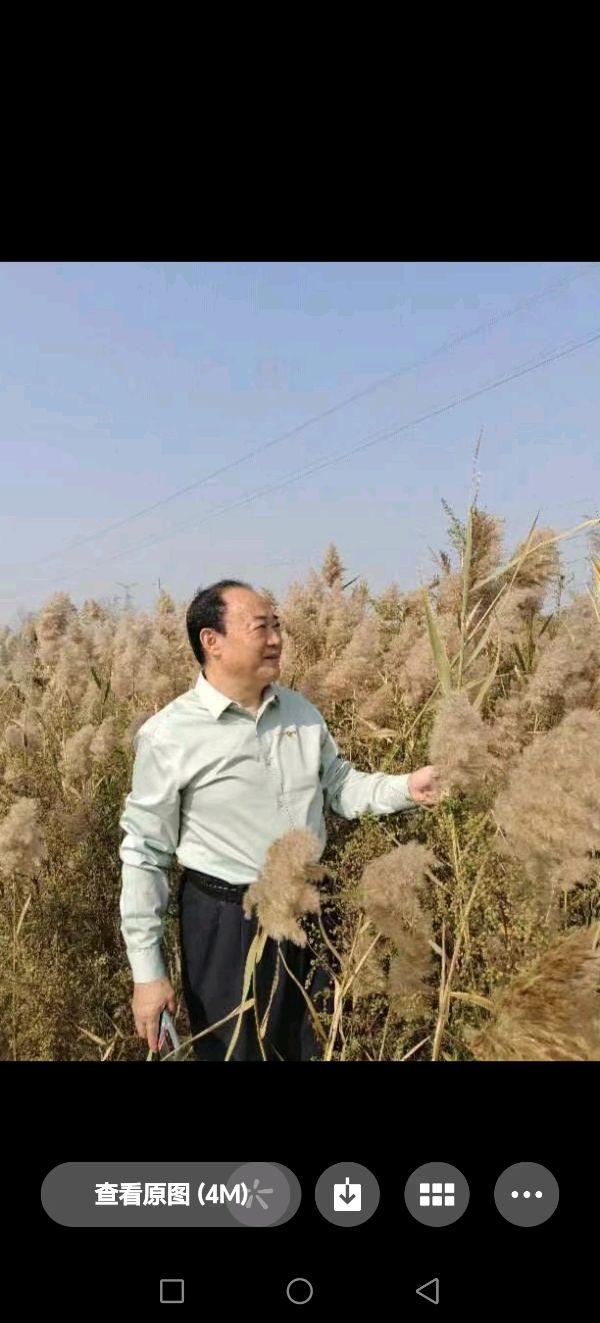 房永敏：《父亲生日有贺（组诗）》（图6）