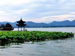【经典推荐】鲁坡//晚秋收获喜在心｛外三首｝（图5）