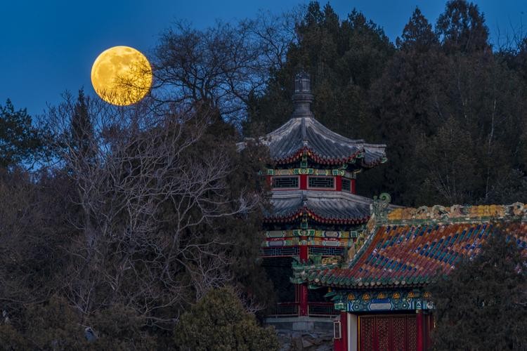 【经典推荐】鲁坡//晚秋收获喜在心｛外三首｝（图9）